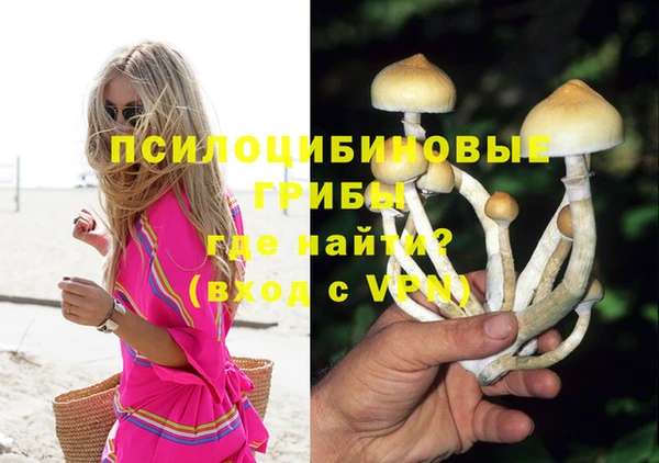 гидропоника Абдулино