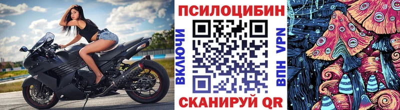 Псилоцибиновые грибы прущие грибы  купить наркоту  Нижняя Тура 